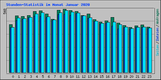 Stunden-Statistik im Monat Januar 2020