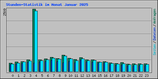 Stunden-Statistik im Monat Januar 2025