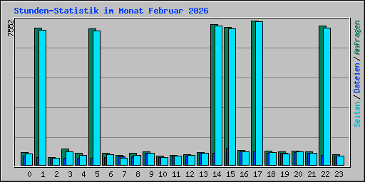 Stunden-Statistik im Monat Februar 2026