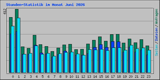 Stunden-Statistik im Monat Juni 2026