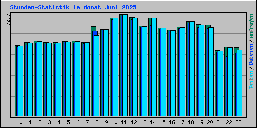 Stunden-Statistik im Monat Juni 2025