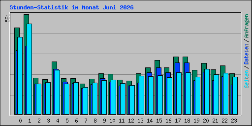 Stunden-Statistik im Monat Juni 2026